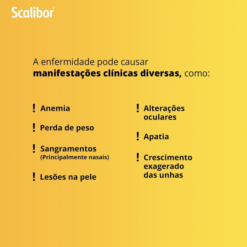 Combo Coleira Scalibor 1un Pequena + 1un Grande MSD