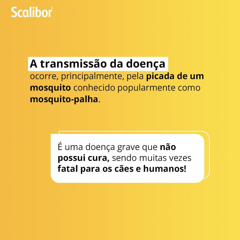 Combo Coleira Scalibor 1un Pequena + 1un Grande MSD